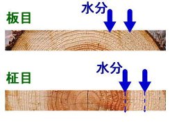 a0004391_232735100.jpg