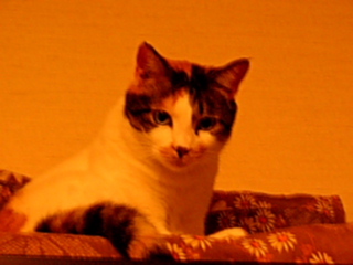 a0024005_2423059.jpg