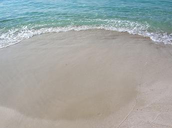 d0036611_198461.jpg