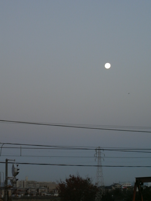 c0073633_2353468.jpg