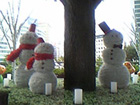 d0048140_2234466.jpg