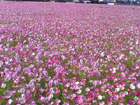 d0048140_23533581.jpg