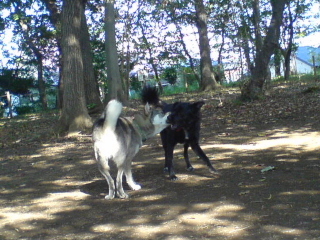 c0065643_21452234.jpg