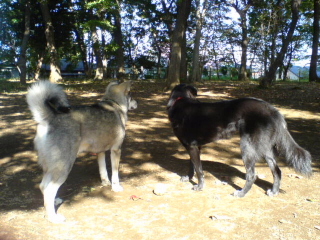 c0065643_21472370.jpg
