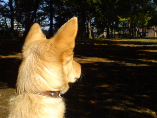 c0065643_21564291.jpg