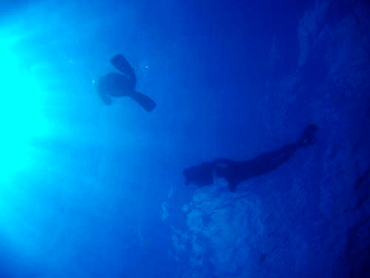 d0065247_19301226.jpg