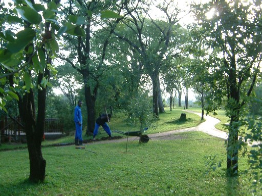 c0011649_11224022.jpg
