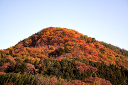 e0009049_23574745.jpg