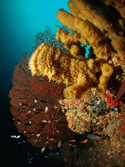 d0021952_22365154.jpg