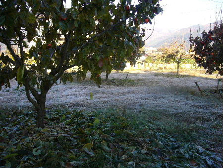 b0015260_10291240.jpg