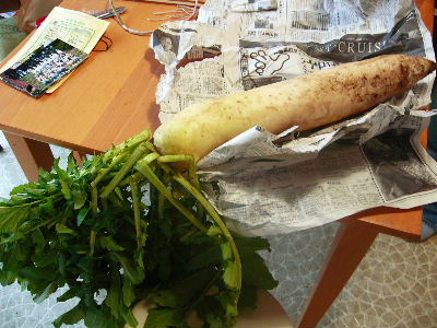 b0015260_16433024.jpg