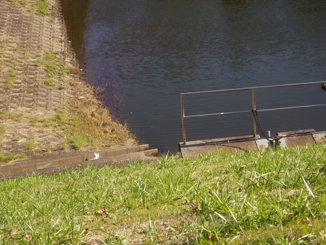 b0061261_2231461.jpg