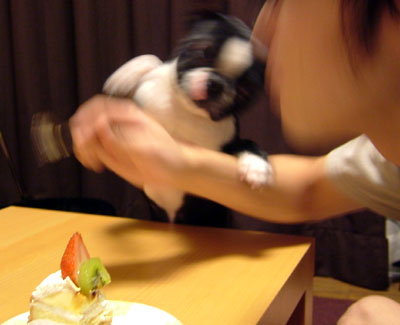 c0032567_2331328.jpg