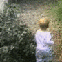 e0070473_225264.gif