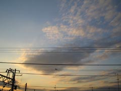c0020478_315641.jpg