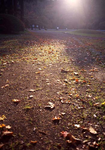 e0029582_2253365.jpg