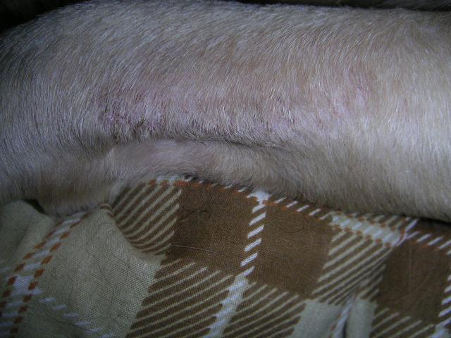 d0065484_14255.jpg