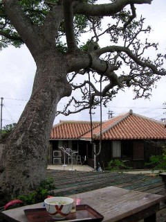 c0054902_23103715.jpg