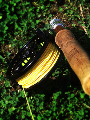 e0009009_20575280.jpg