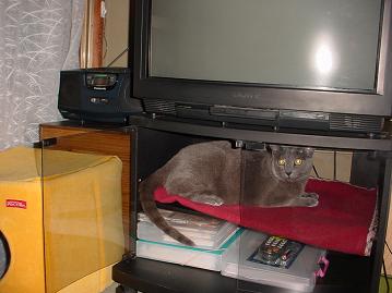 c0066610_21344797.jpg