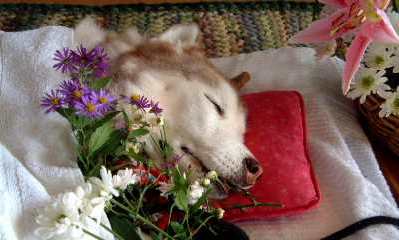 e0001110_10503996.jpg