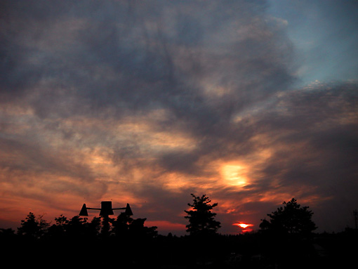 d0026414_2024599.jpg