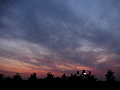 d0026414_2091677.jpg