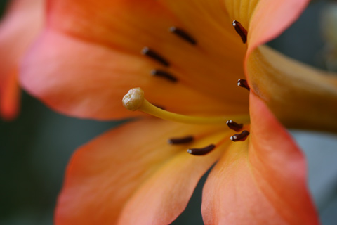 e0001123_00495.jpg