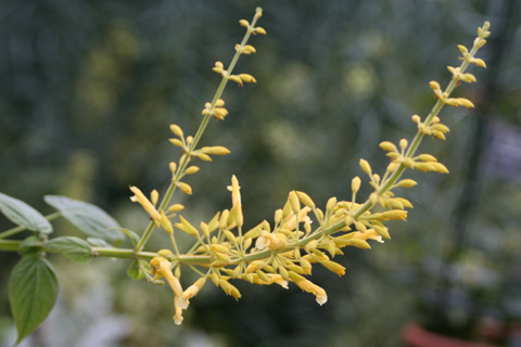 e0001123_04323.jpg