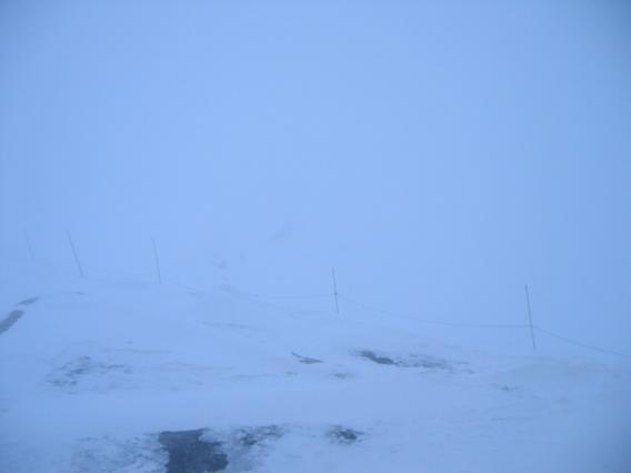 e0010134_173420.jpg