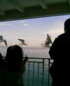c0052035_1853844.jpg