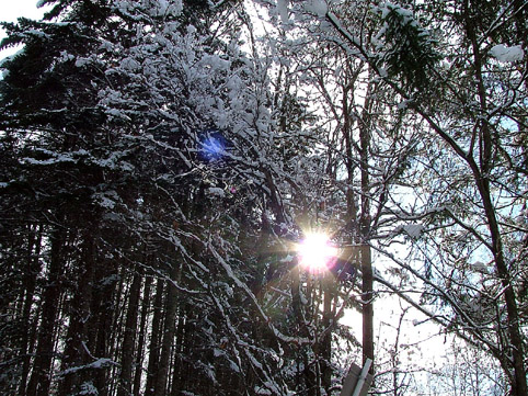 d0069235_012537.jpg