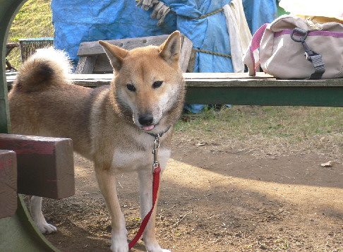 d0013149_2320010.jpg