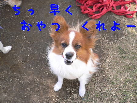 d0013149_232441100.jpg