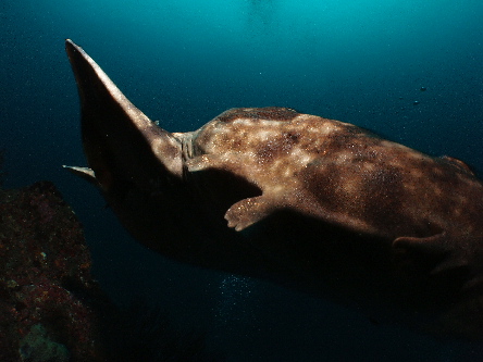 d0021952_21581250.jpg