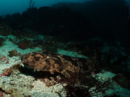 d0021952_2274790.jpg