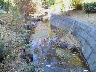e0063653_1344255.jpg