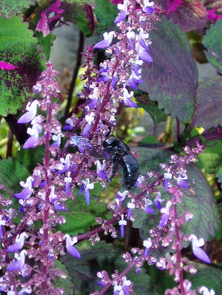 e0064158_0224788.jpg