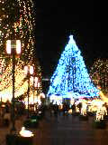 c0030363_093716.jpg