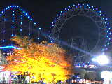 c0030363_093742.jpg