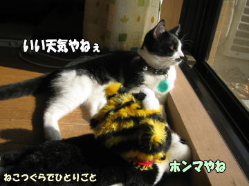 b0041182_122316.jpg