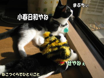 b0041182_1224314.jpg
