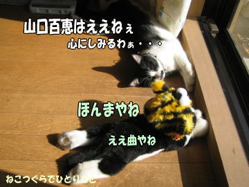 b0041182_123255.jpg