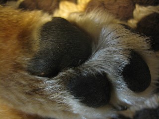 b0054391_1514207.jpg