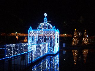 b0061107_22163768.jpg