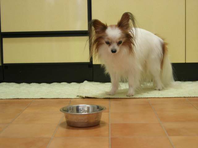 d0046031_12134538.jpg