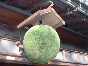 c0061033_2220221.jpg