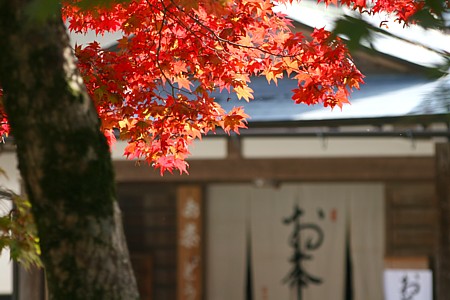 d0001533_15141792.jpg