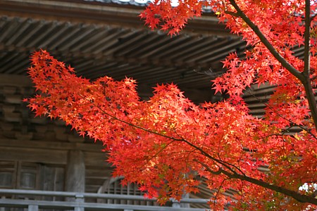 d0001533_15143237.jpg