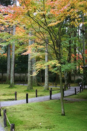 d0001533_15153160.jpg